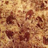 Thumbnail For Pumpkin Cream Cheese Bar By Terrie Hoelscher.  I Spaced Pecan Halves On Top Of The Chopped Pecans So That Each Bar Would Have One Half Full Pecan On Top. :)