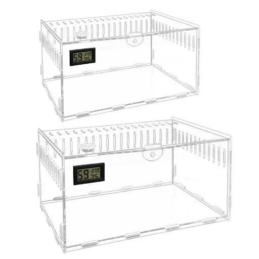 Insect Feeding Box Clear Acrylic Container Terrariums for Spiders Reptiles