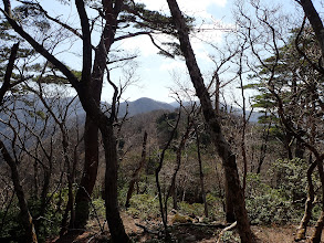 前方奥にタイジョウ