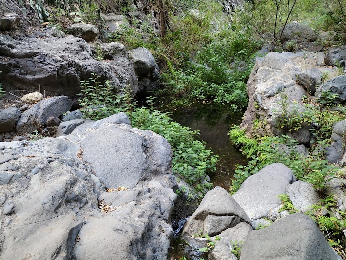 BARRANCO DEL INFIERNO Y PLAYA EN EL PUERTITO - VOLVEMOS A TENERIFE: ESCAPADA DE 4 DÍAS 10 AÑOS DESPUÉS (6)