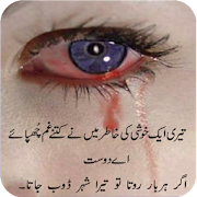 Dukhi Shayari-Urdu Lines 5.0 Icon