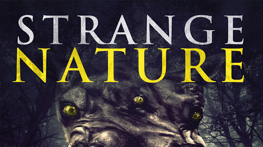 Strange Nature (2018) Video Plaza Podcast Recommendations