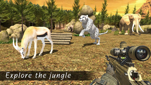 Safari Hunt 3D