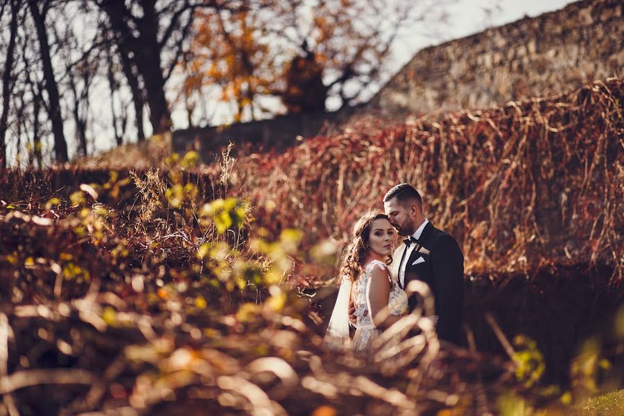 Photographe de mariage Artur Owsiany (owsiany). Photo du 18 novembre 2017