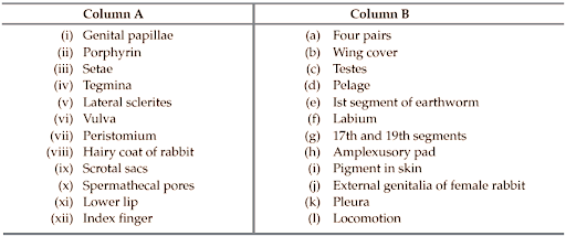 Types of tissues