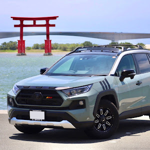 RAV4 MXAA54