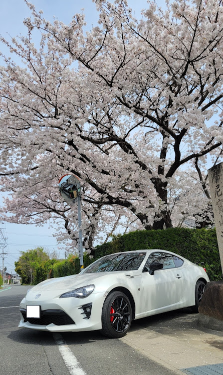 86のサクラと愛車に関するカスタム事例の投稿画像1枚目