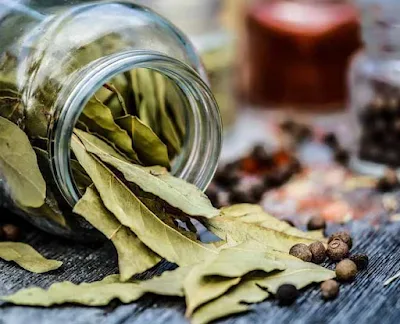 Bay Leaves (Tej Patta) - 1 kg