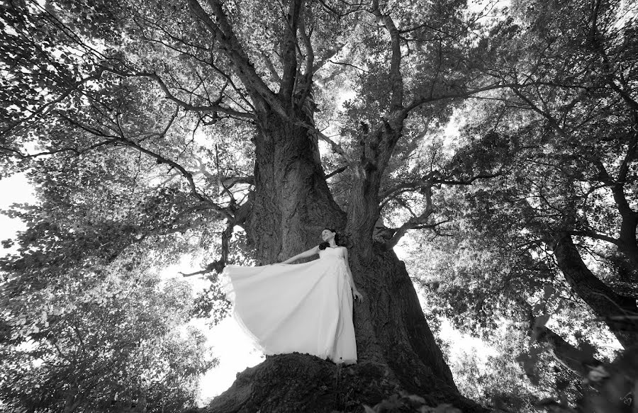 Photographe de mariage Bruno Bo (bora). Photo du 15 janvier 2014