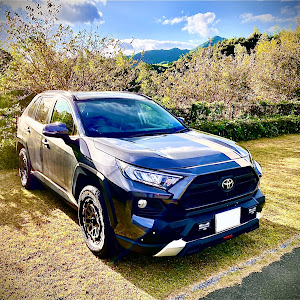 RAV4 MXAA54