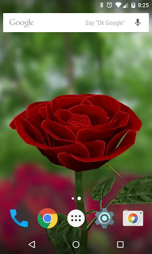 3D Rose Live Wallpaper Free