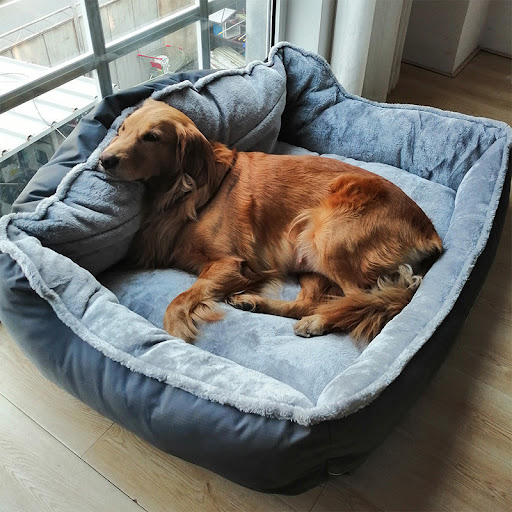 Title 4, Golden Retriever dog sofa for ultimate comfort ...
