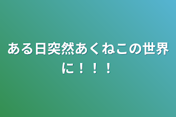 ある日突然あくねこの世界に！！！