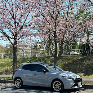 MAZDA2 DJLFS