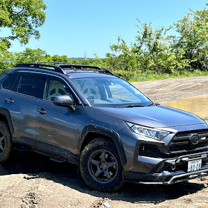 RAV4 MXAA54