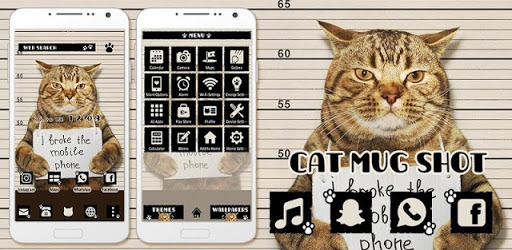 Cat Mug Shot Theme