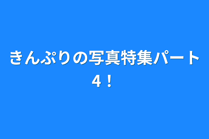 「きんぷりの写真特集パート4！」のメインビジュアル