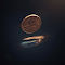 Item logo image for Simple Coin Flip