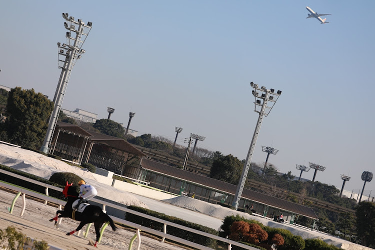 セドリックの430セドリック・オルタネーター交換・競馬場に関するカスタム事例の投稿画像10枚目