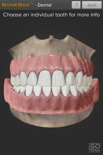 Download BoneBoxu2122 - Dental Lite 1.0 1
