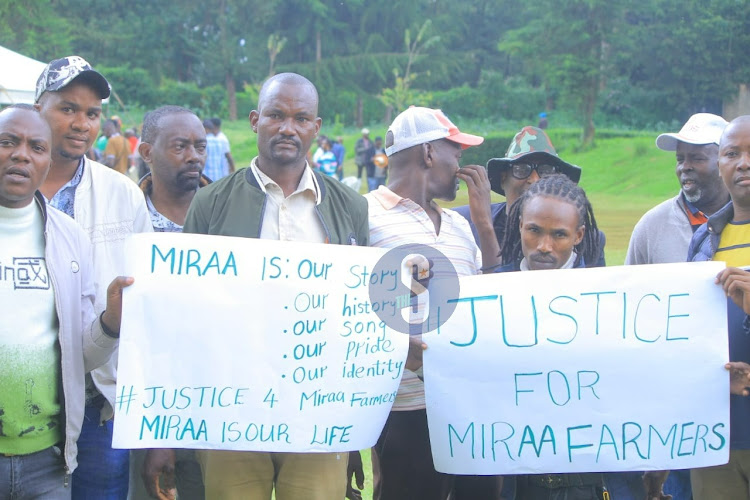 Mt Kenya youth hold placards indicating their grievances in miraa farming during the Limuru III Conference on May 17, 2024.