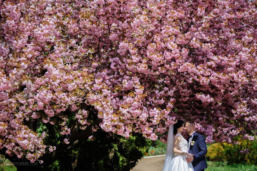 Fotógrafo de casamento Andrey Cheban (andreycheban). Foto de 9 de julho 2017