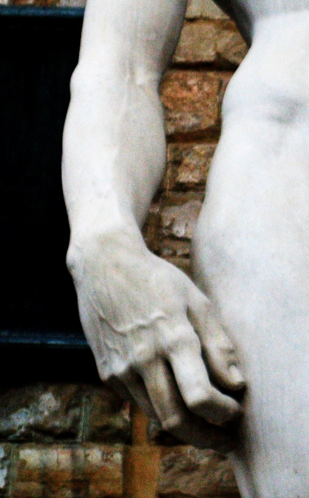 La mano di David di cleliafiore