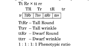 Solution Image