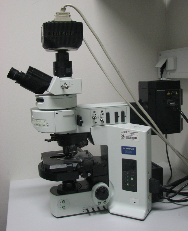 Fluorescence_microscop.jpg