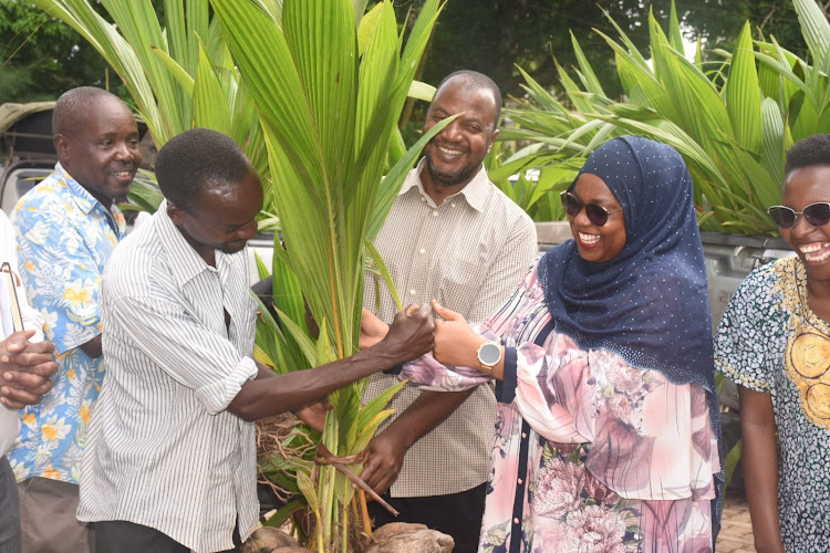 Governor Fatuma Achani and Tsimba Golini MCA Omar Mwaboza hand over coconut seeds to farmers in Matuga, Kwale, on Wednesday, April 24, 2024.