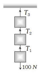 Free-Body Diagrams - FBD