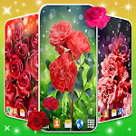 Cover Image of Herunterladen Red Rose Live Wallpaper 🌹 Elegant Rose Wallpapers 6.3.0 APK