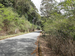 車道を300mほど歩く