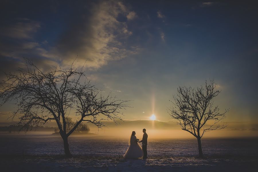 Fotógrafo de bodas Mariya Vie (marijavie). Foto del 24 de enero 2018