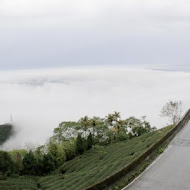 空中邊境景觀農場