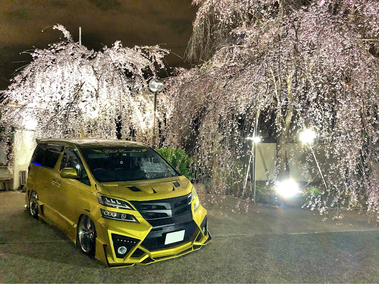 ヴェルファイアのヴェルファイア・桜・オールペン・エアサス・カスタムカーに関するカスタム事例の投稿画像2枚目