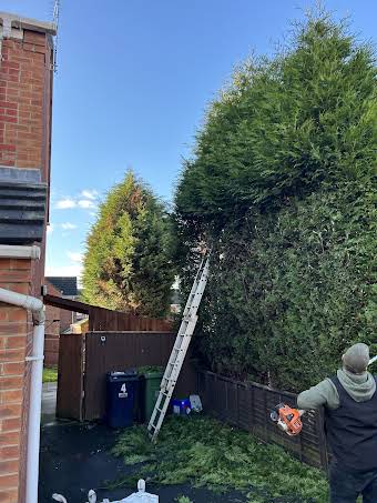  Hedge trimming and trees pruning maintenance album cover