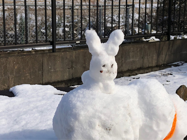 エッセの雪が積もった・ドライブ・暇人・雪だるまに関するカスタム事例の投稿画像3枚目