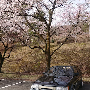 カローラレビン AE86