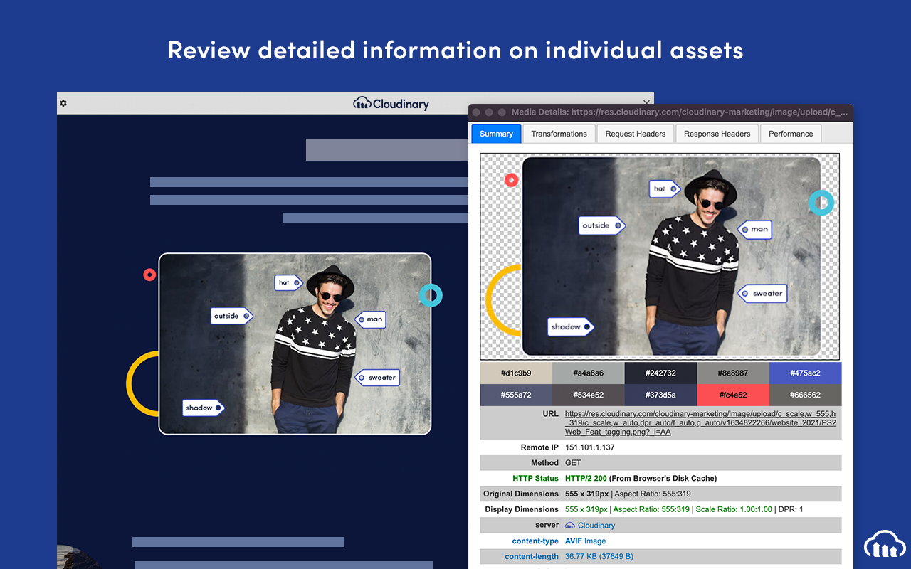 Cloudinary Media Inspector Preview image 4