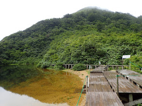 池の周りは木道