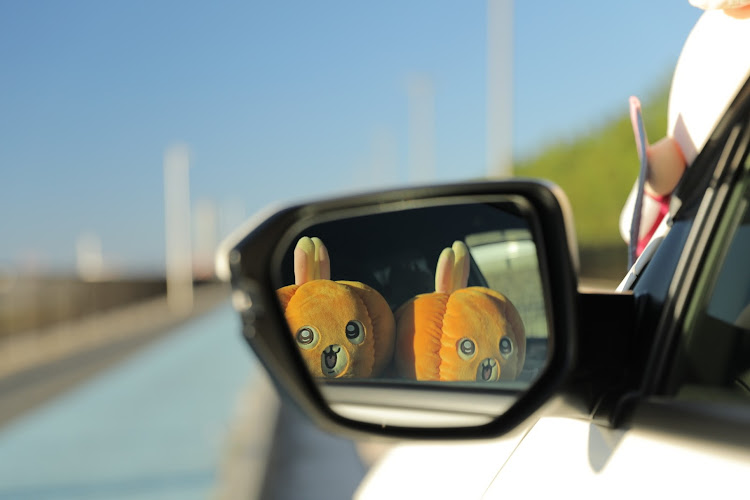シビックタイプRのカメ活・11月もよろしくお願いします・推し活・俺の車が1番かっこいい・ちいかわに関するカスタム事例の投稿画像8枚目