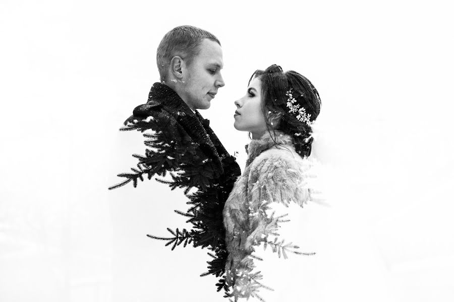 結婚式の写真家Dmitriy Lebedev (lebedev)。2018 3月27日の写真