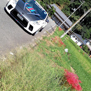 フェアレディZ Z34