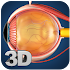 Eye Anatomy Pro. 1.3