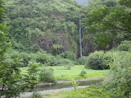 1 de agosto, Tahiti en 4x4 - El paraíso en la tierra, Polinesia Francesa (19)