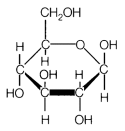 Biomolecules - Cell Hub