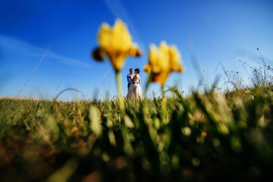 Fotografo di matrimoni Bogdan Konchak (bogdan2503). Foto del 5 febbraio 2018