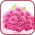 Cover Image of Download Beautiful Rose Wallpapers 1.0 APK