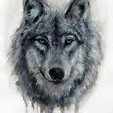 Wolf Wallpaper chrome extension